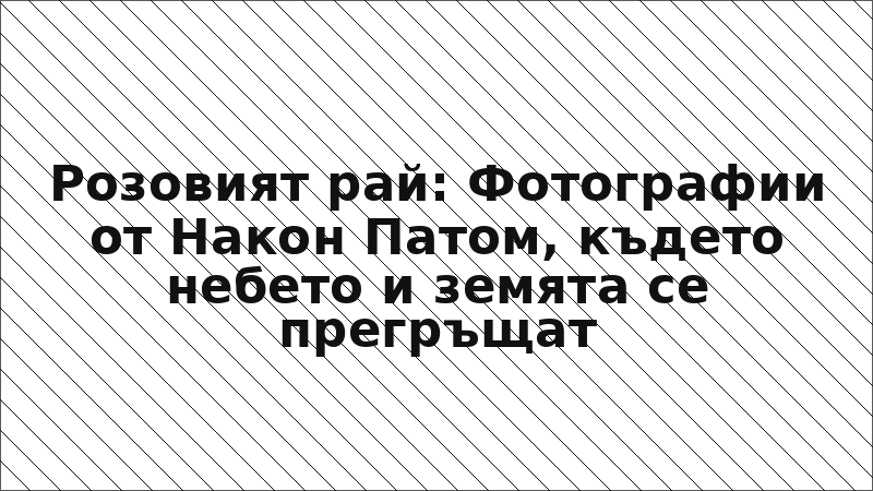 Розовият рай: Фотографии от Након Патом, където небето и земята се прегръщат