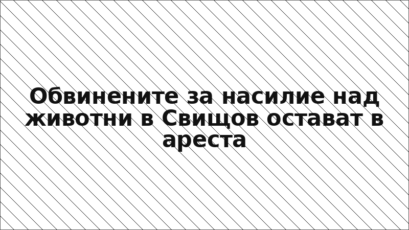 Обвинените за насилие над животни в Свищов остават в ареста