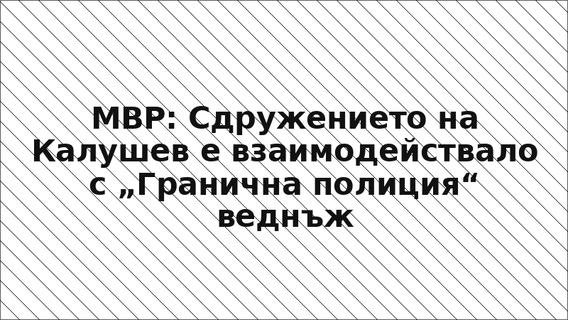 МВР: Сдружението на Калушев е взаимодействало с „Гранична полиция“ веднъж