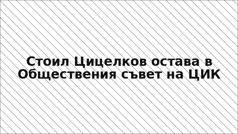 Стоил Цицелков остава в Обществения съвет на ЦИК