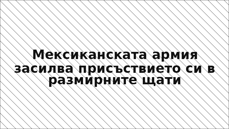 Мексиканската армия засилва присъствието си в размирните щати