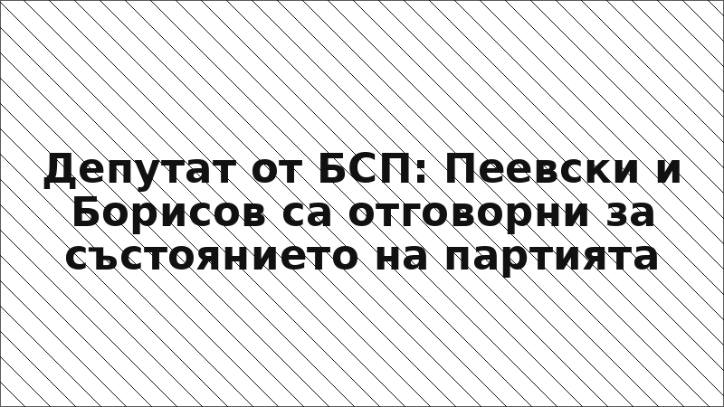 Депутат от БСП: Пеевски и Борисов са отговорни за състоянието на партията