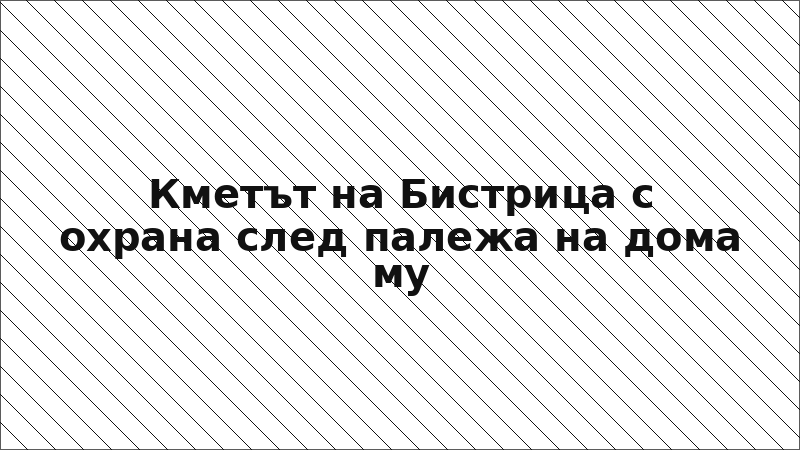 Кметът на Бистрица с охрана след палежа на дома му