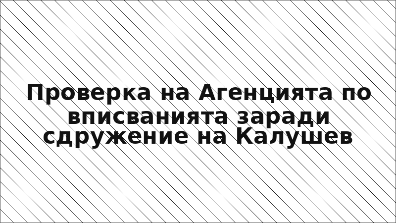Проверка на Агенцията по вписванията заради сдружение на Калушев