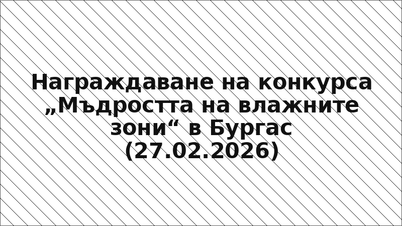 Награждаване на конкурса „Мъдростта на влажните зони“ в Бургас (27.02.2026)