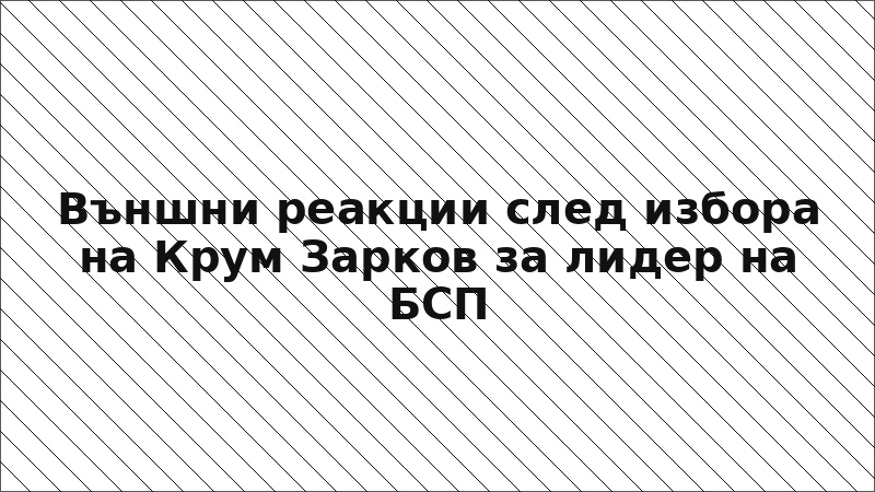 Външни реакции след избора на Крум Зарков за лидер на БСП