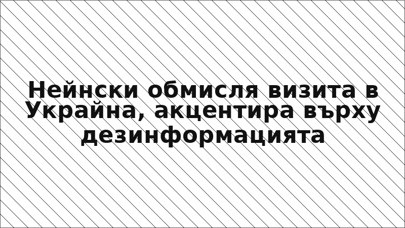 Нейнски обмисля визита в Украйна, акцентира върху дезинформацията