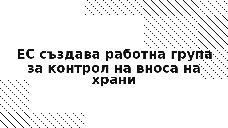 ЕС създава работна група за контрол на вноса на храни