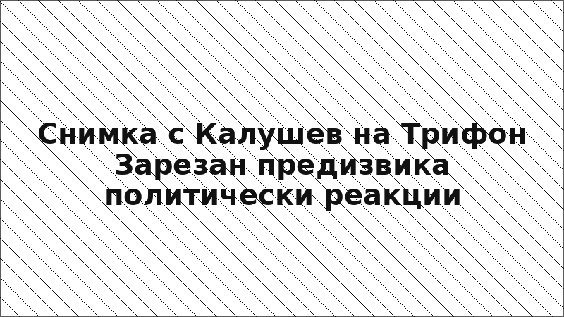 Снимка с Калушев на Трифон Зарезан предизвика политически реакции