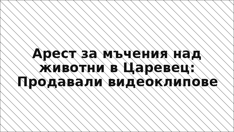 Арест за мъчения над животни в Царевец: Продавали видеоклипове