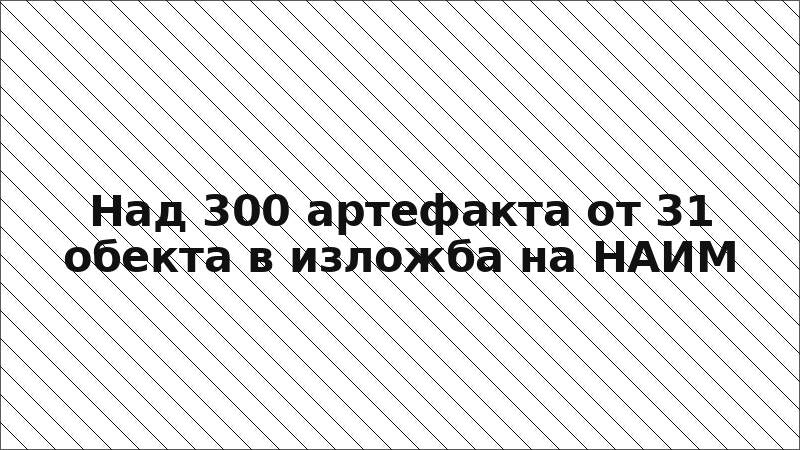 Над 300 артефакта от 31 обекта в изложба на НАИМ