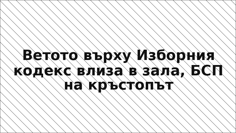 Ветото върху Изборния кодекс влиза в зала, БСП на кръстопът