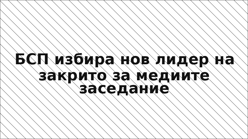 БСП избира нов лидер на закрито за медиите заседание