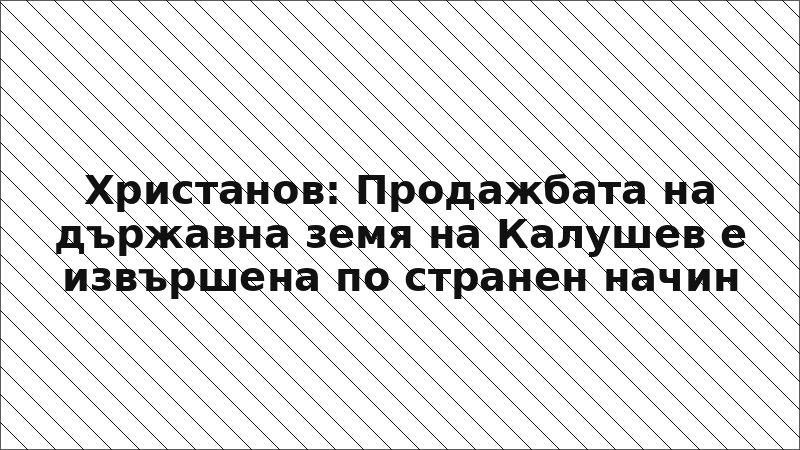 Христанов: Продажбата на държавна земя на Калушев е извършена по странен начин