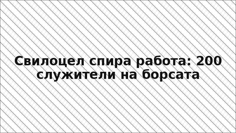 Свилоцел спира работа: 200 служители на борсата