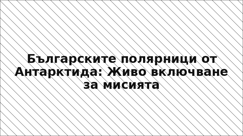Българските полярници от Антарктида: Живo включване за мисията