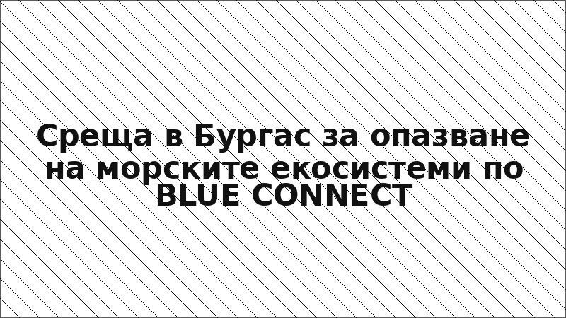 Среща в Бургас за опазване на морските екосистеми по BLUE CONNECT