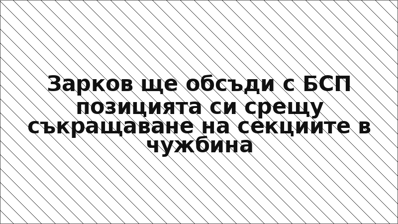 Зарков ще обсъди с БСП позицията си срещу съкращаване на секциите в чужбина