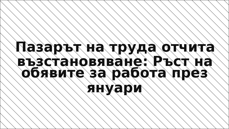 Пазарът на труда отчита възстановяване: Ръст на обявите за работа през януари