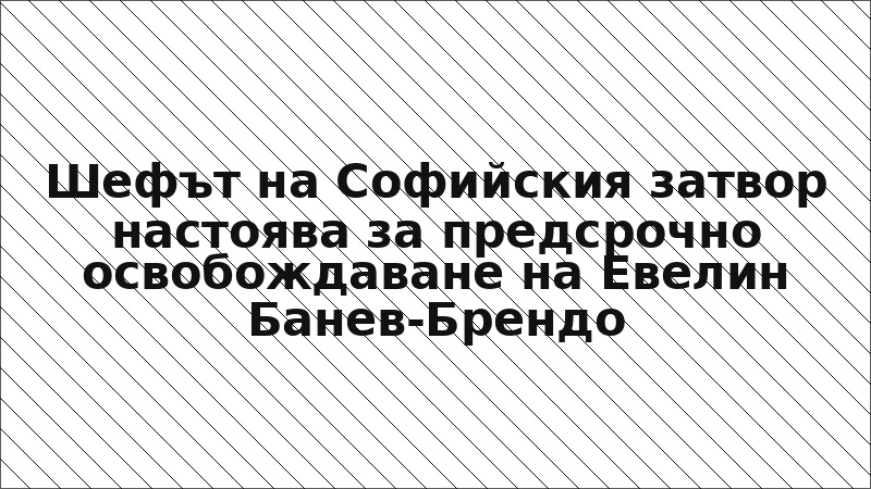 Шефът на Софийския затвор настоява за предсрочно освобождаване на Евелин Банев-Брендо