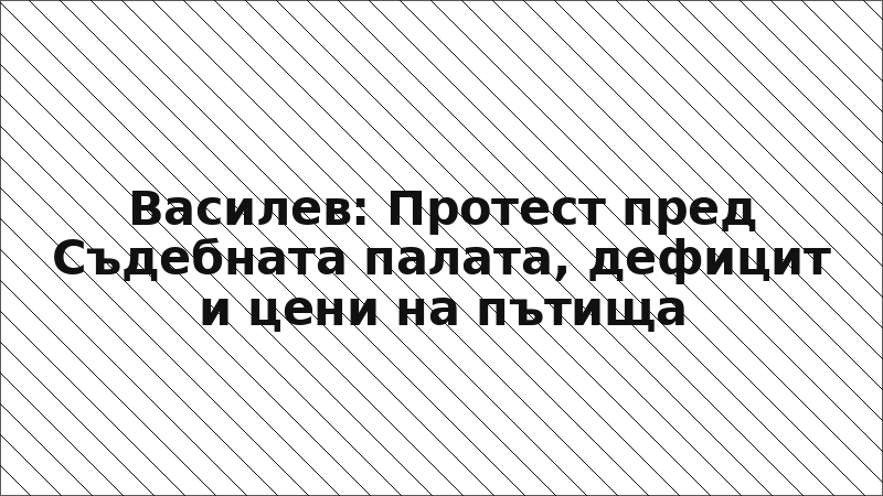 Василев: Протест пред Съдебната палата, дефицит и цени на пътища