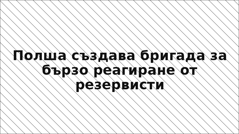 Полша създава бригада за бързо реагиране от резервисти