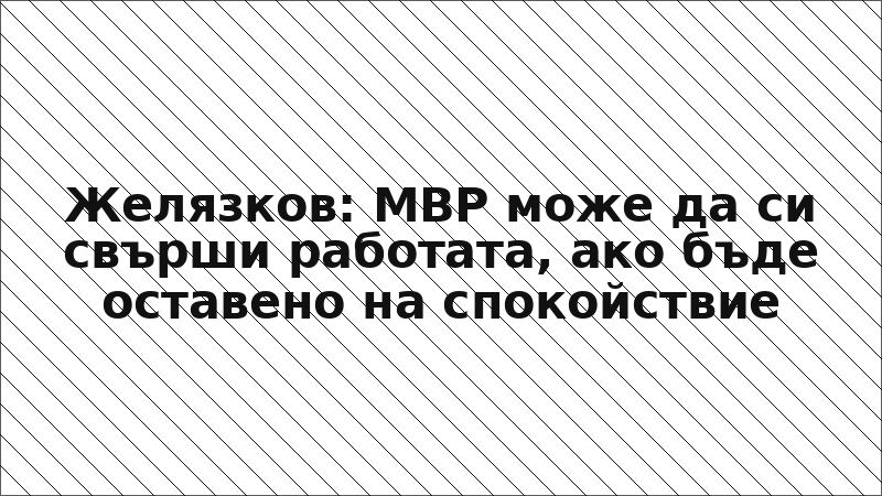 Желязков: МВР може да си свърши работата, ако бъде оставено на спокойствие
