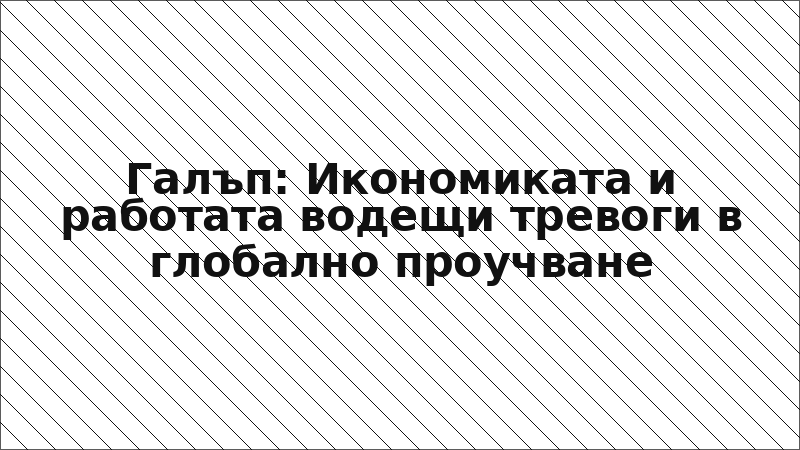 Галъп: Икономиката и работата водещи тревоги в глобално проучване