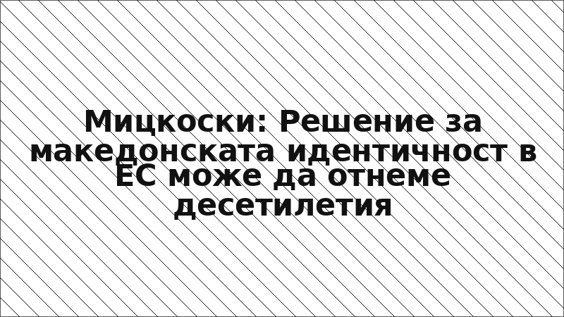 Мицкоски: Решение за македонската идентичност в ЕС може да отнеме десетилетия