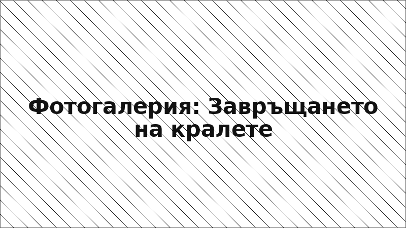 Фотогалерия: Завръщането на кралете