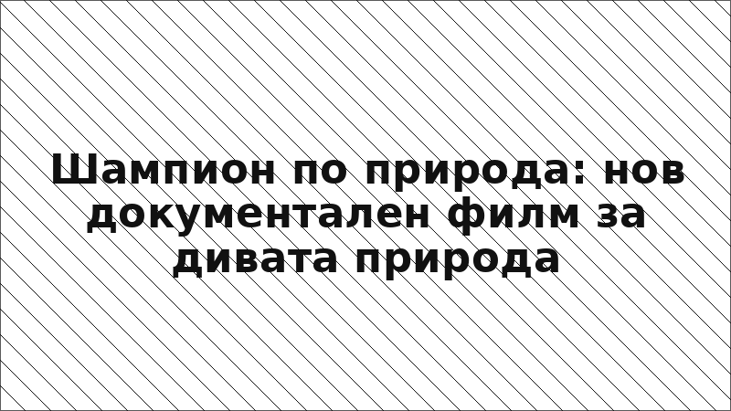 Шампион по природа: нов документален филм за дивата природа