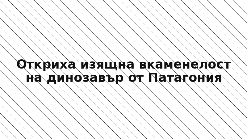 Откриха изящна вкаменелост на динозавър от Патагония