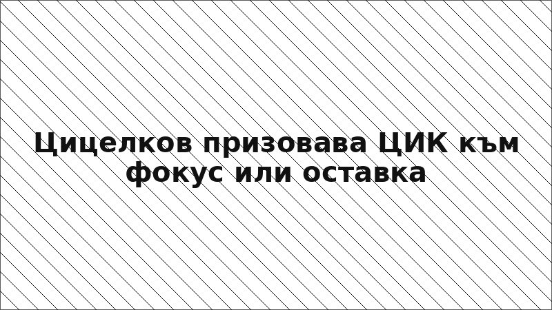 Цицелков призовава ЦИК към фокус или оставка
