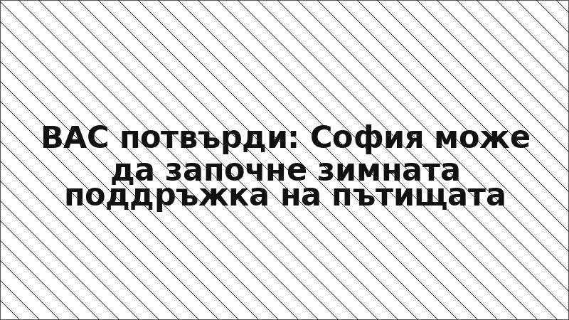 ВАС потвърди: София може да започне зимната поддръжка на пътищата