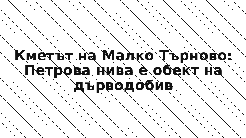 Кметът на Малко Търново: Петрова нива е обект на дърводобив