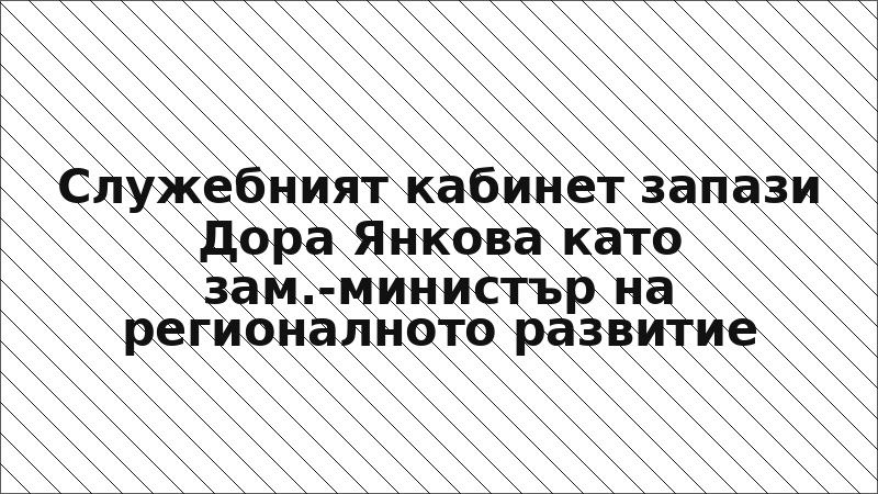 Служебният кабинет запази Дора Янкова като зам.-министър на регионалното развитие