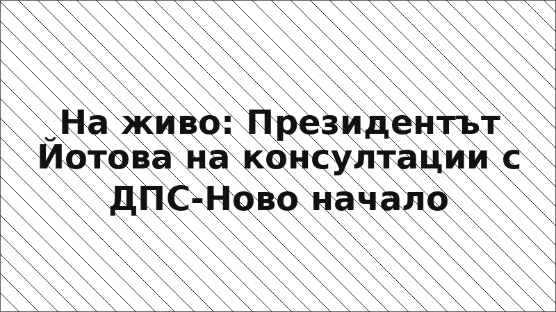 На живо: Президентът Йотова на консултации с ДПС-Ново начало