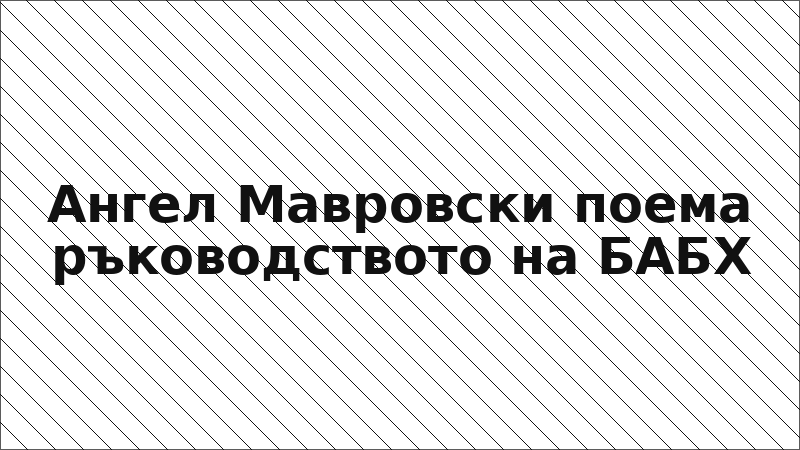 Ангел Мавровски поема ръководството на БАБХ