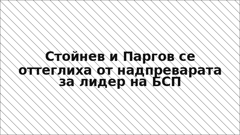 Стойнев и Паргов се оттеглиха от надпреварата за лидер на БСП