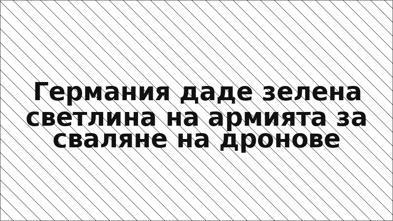 Германия даде зелена светлина на армията за сваляне на дронове