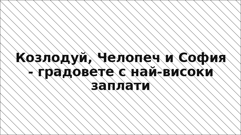 Козлодуй, Челопеч и София - градовете с най-високи заплати