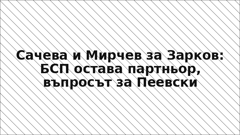 Сачева и Мирчев за Зарков: БСП остава партньор, въпросът за Пеевски