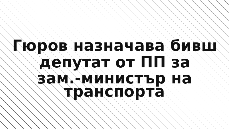 Гюров назначава бивш депутат от ПП за зам.-министър на транспорта