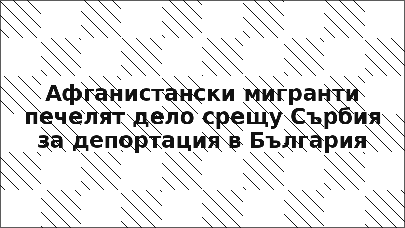Афганистански мигранти печелят дело срещу Сърбия за депортация в България