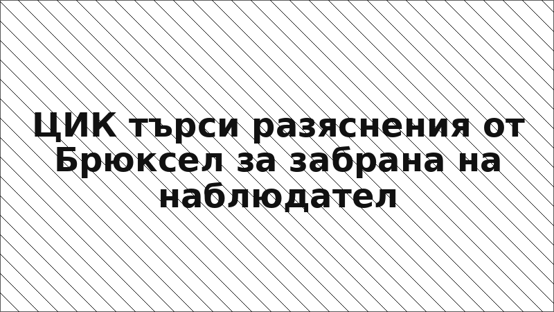 ЦИК търси разяснения от Брюксел за забрана на наблюдател