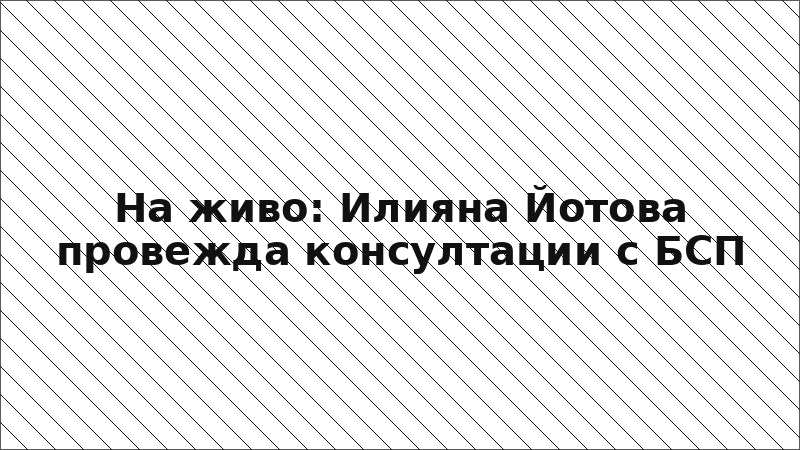 На живо: Илияна Йотова провежда консултации с БСП