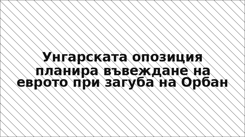 Унгарската опозиция планира въвеждане на еврото при загуба на Орбан