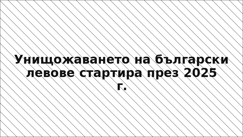 Унищожаването на български левове стартира през 2025 г.