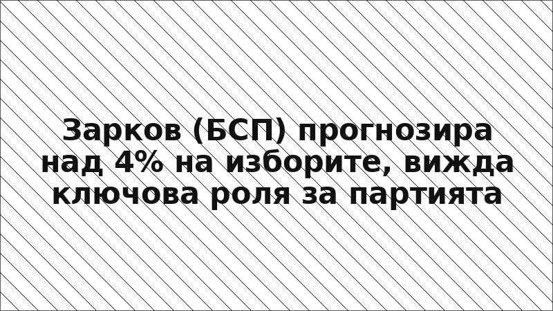 Зарков (БСП) прогнозира над 4% на изборите, вижда ключова роля за партията