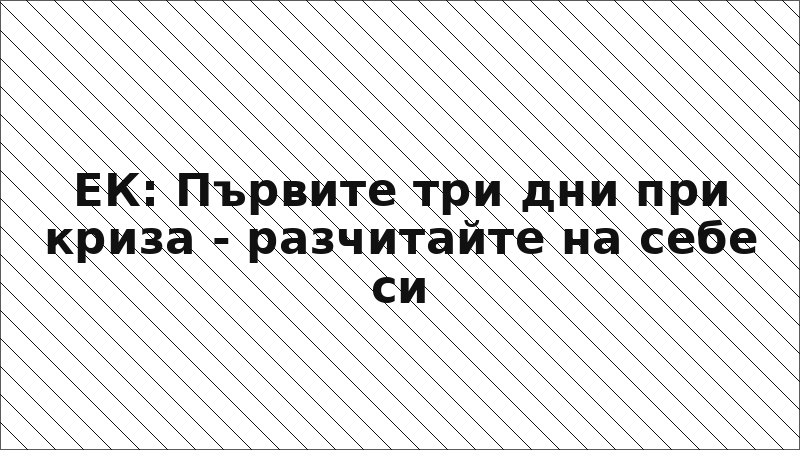 ЕК: Първите три дни при криза - разчитайте на себе си